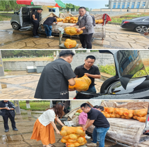 微信图片_20240826094026.png